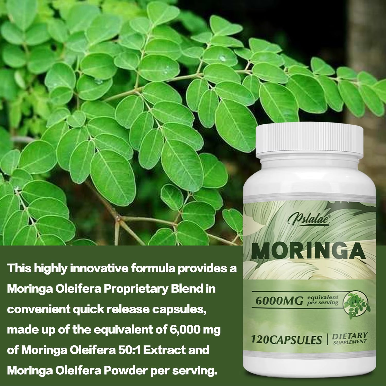 Moringa 6000mg